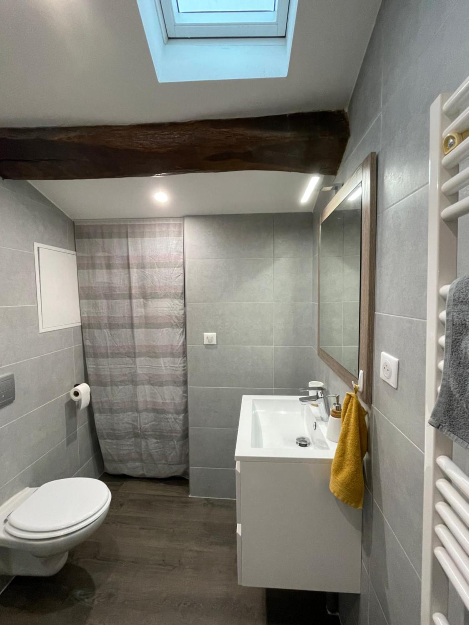 Chez Jean-Yves Et Zoe - Le Saint Andre - Au Calme, Tres Propre, Proche Parkings, Clim Apartment นีออร์ ภายนอก รูปภาพ